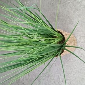 🏠 Threshold Faux Greenery Plant